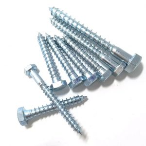 DIN 571 Wood Screw China Supplier